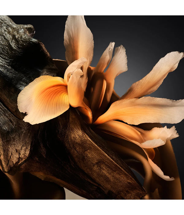 HUGO BOSS Boss Bottled 100ml