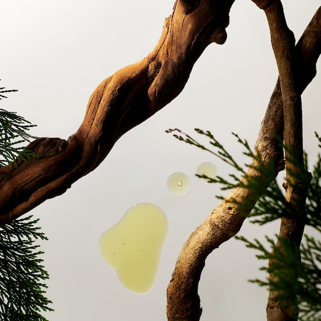 Rituals Homme Collection Life Is a Journey Car Perfume