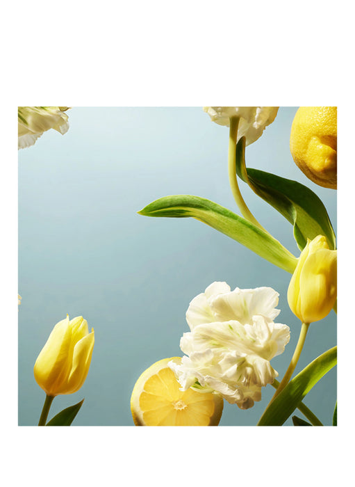 Rituals Amsterdam Collection Luxury Car Air Freshener